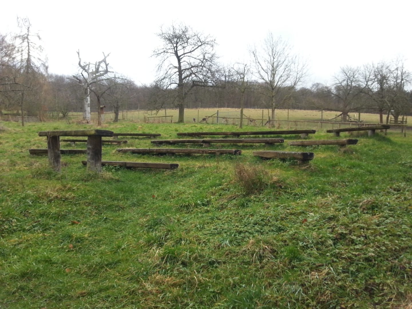 tour de waldjugend – unterwegs im Dienste des Vereins :-)