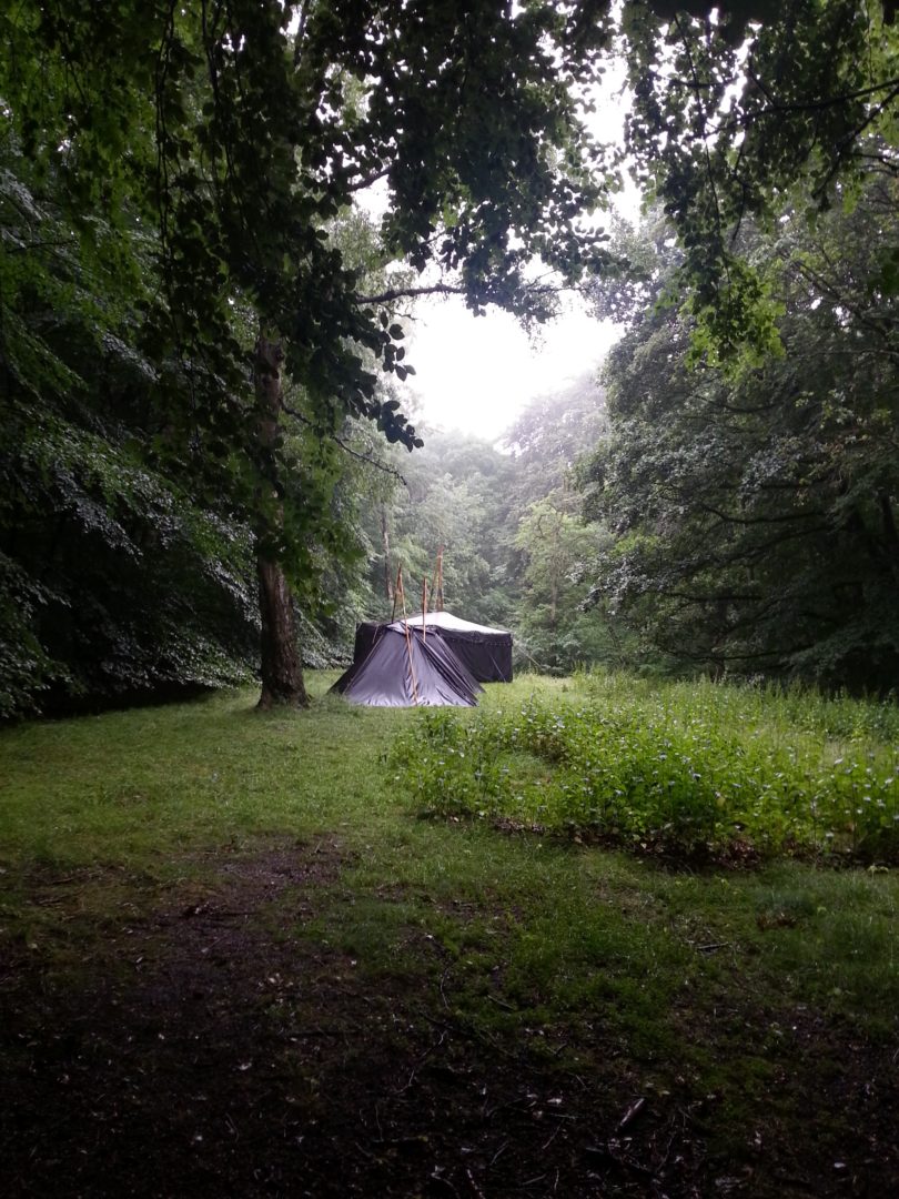 Eine Nacht im Wald – unser Beitrag zum Langen Tag der Stadtnatur