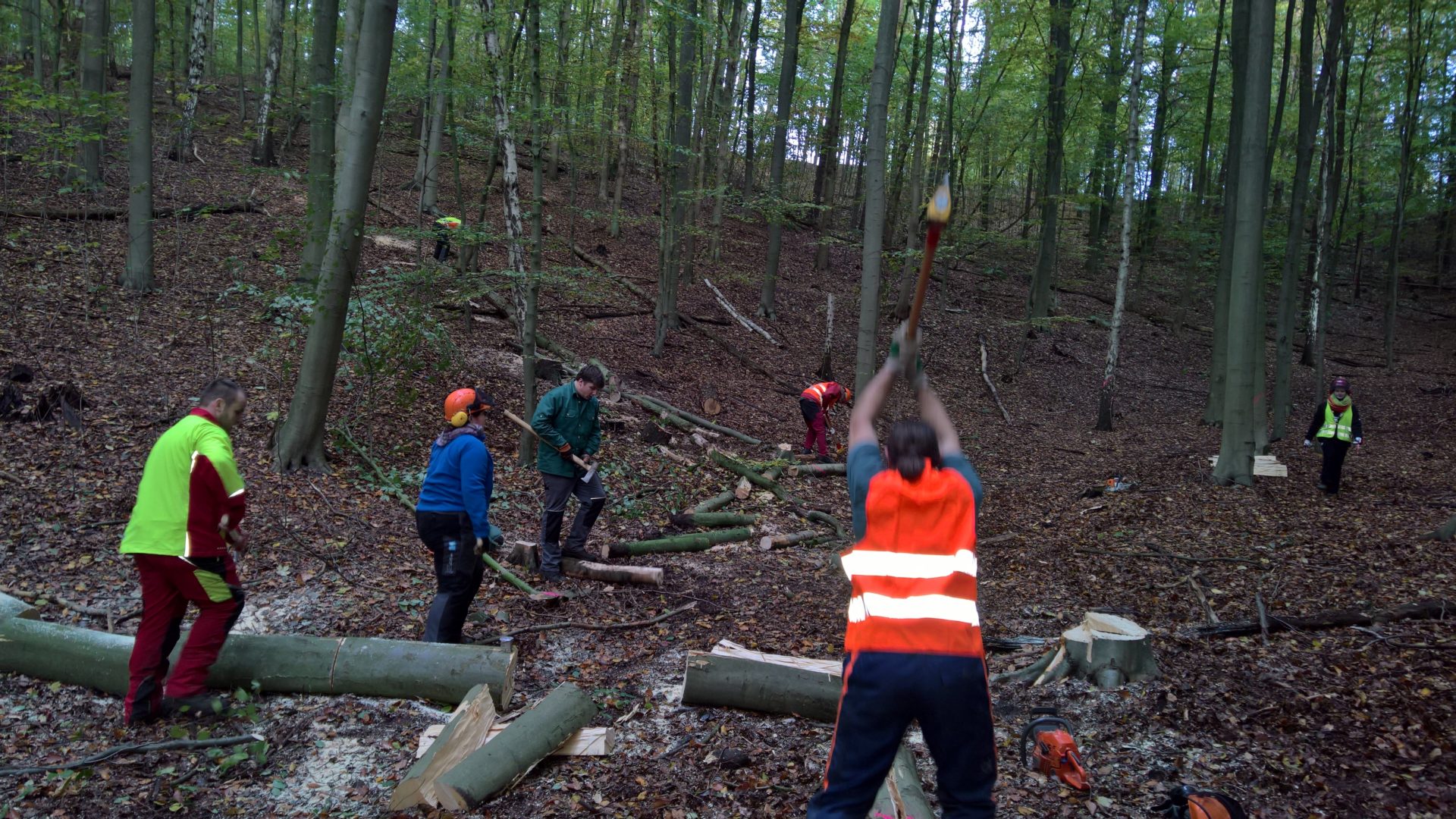 Bundesforsteinsatz in Hamburg – Holz, Holz, Holz